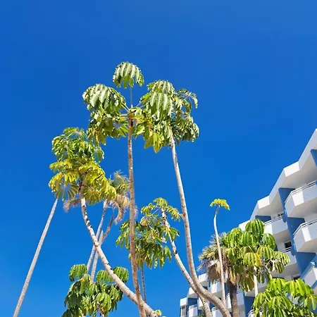 A&v In Park Apartamento